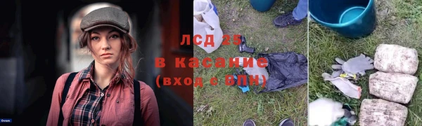 сатива Михайловск
