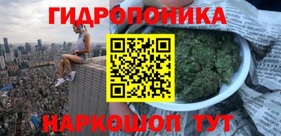 мяу мяу мука Азнакаево