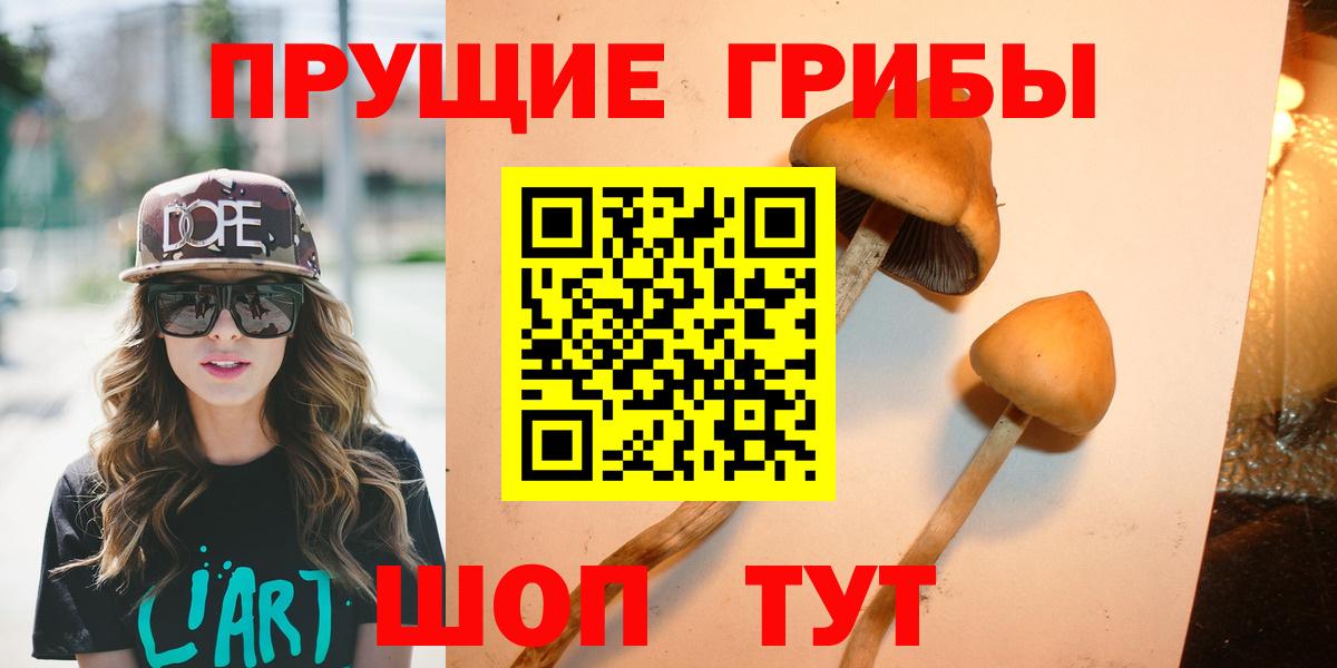 Псилоцибиновые грибы GOLDEN TEACHER Кудрово