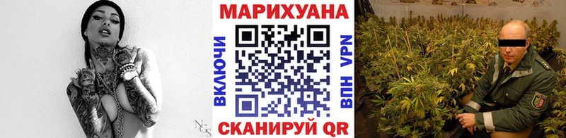 Бошки марихуана AK-47  гидра ССЫЛКА  Кудрово 
